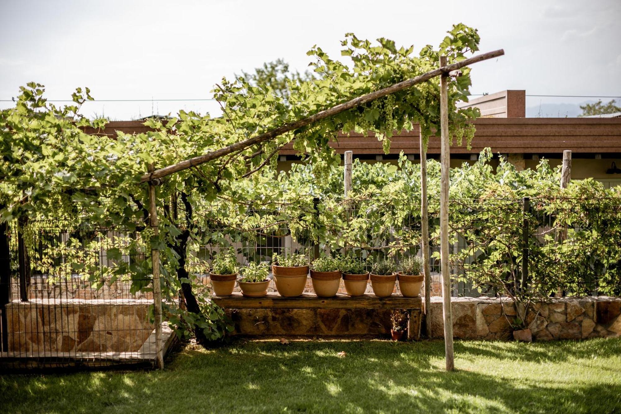 Le Greghe Suites Lazise Exteriér fotografie